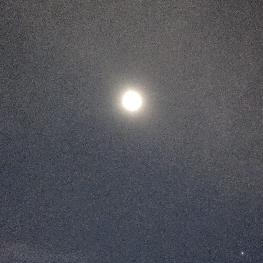 Meet your Posher, Jo